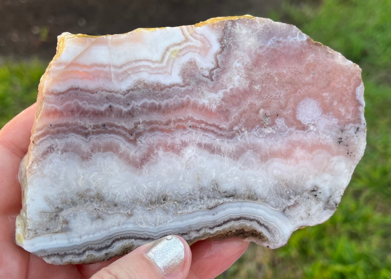 Colorado Sowbelly Agate Lapidary Rock Slab - Lucky Calico Gem & Jewelry Co.