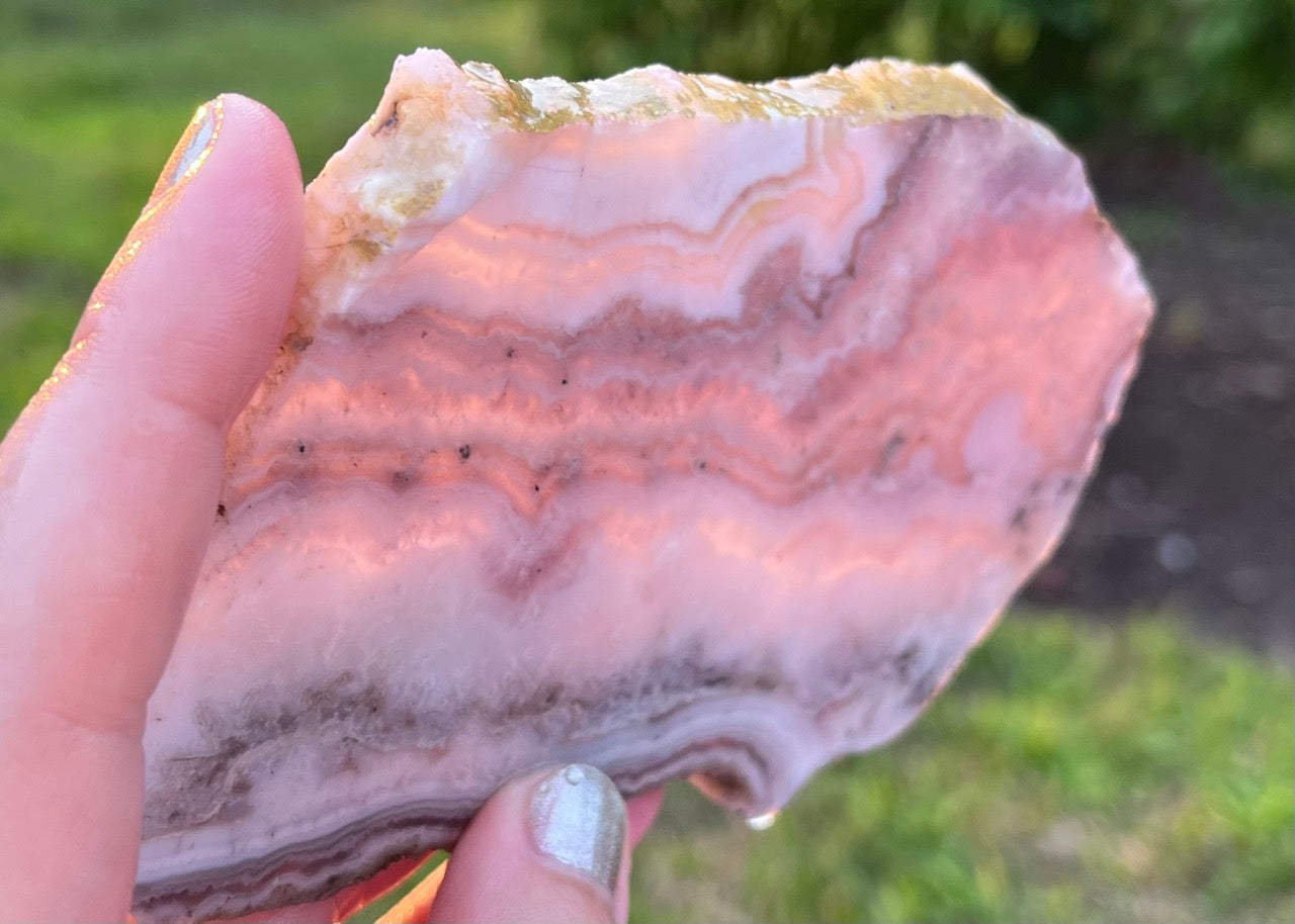 Colorado Sowbelly Agate Lapidary Rock Slab - Lucky Calico Gem & Jewelry Co.