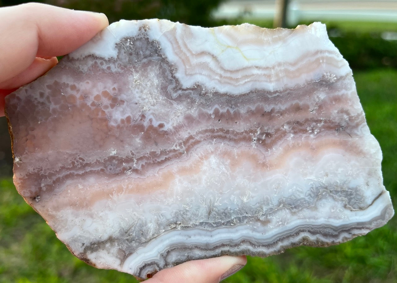 Colorado Sowbelly Agate Lapidary Rock Slab - Lucky Calico Gem & Jewelry Co.