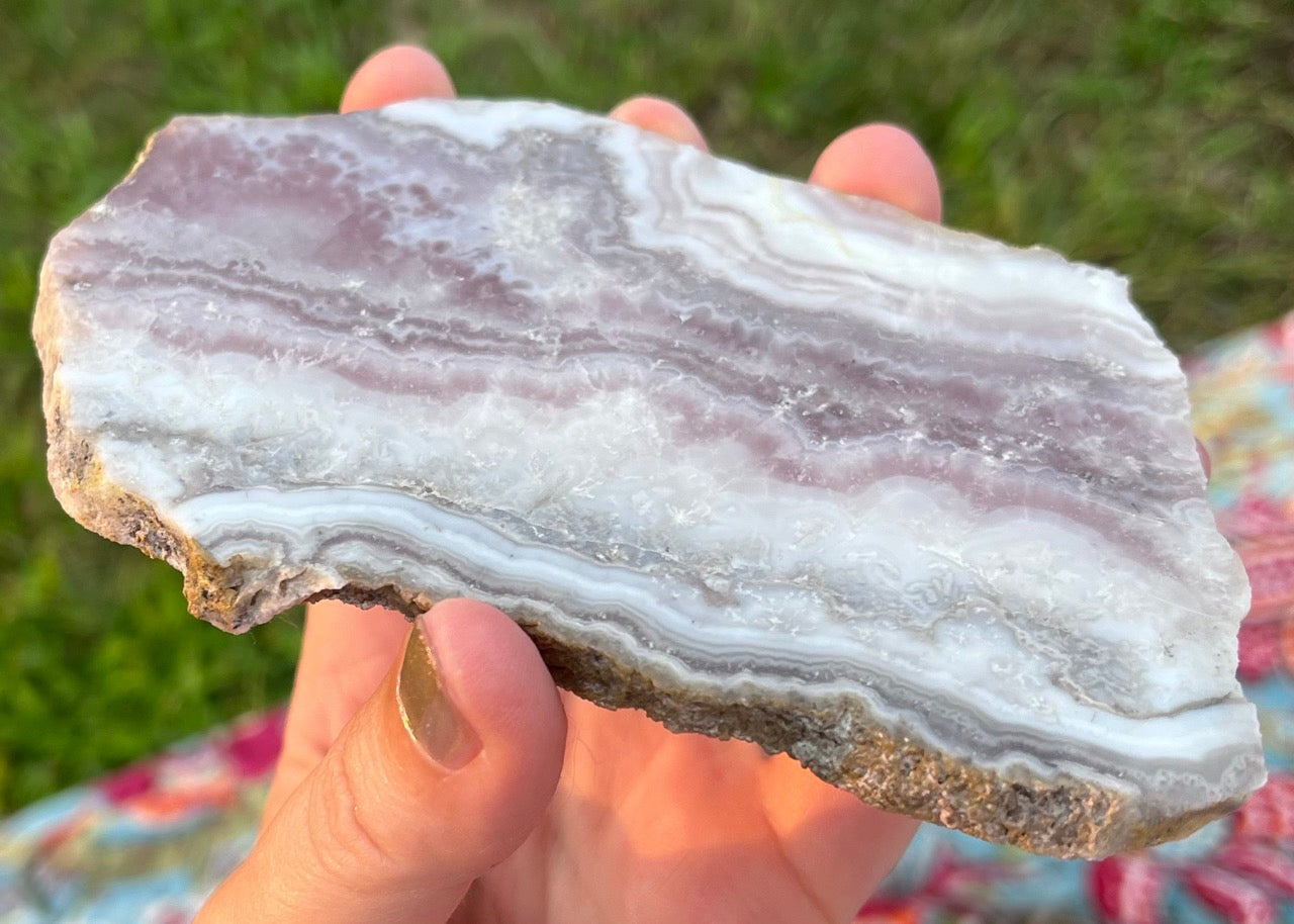 Colorado Sowbelly Agate Lapidary Rock Slab - Lucky Calico Gem & Jewelry Co.