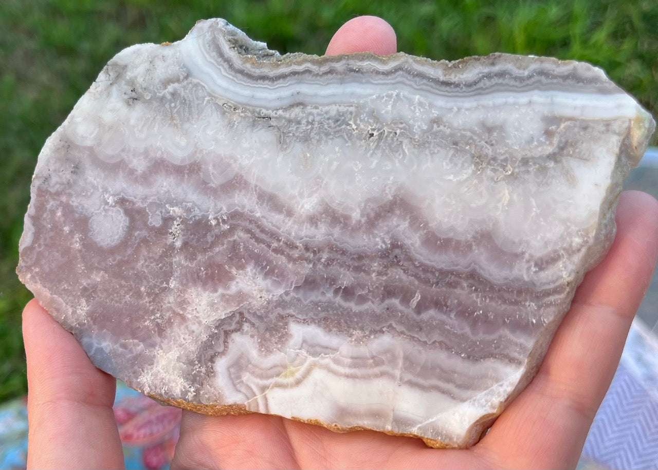 Colorado Sowbelly Agate Lapidary Rock Slab - Lucky Calico Gem & Jewelry Co.