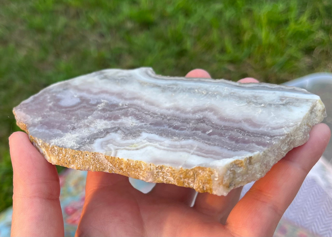 Colorado Sowbelly Agate Lapidary Rock Slab - Lucky Calico Gem & Jewelry Co.