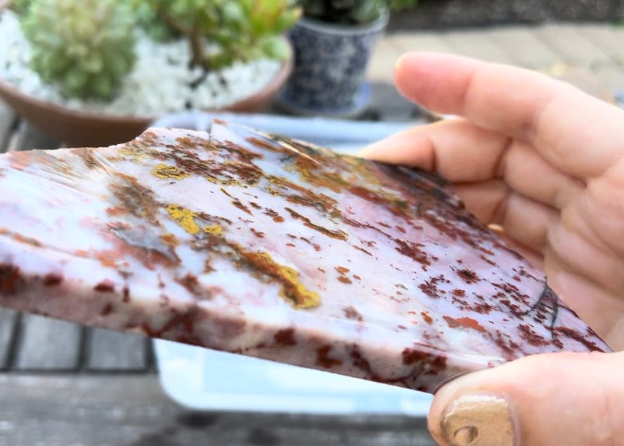 Pink St Johns Flower Agate Lapidary Rock Slab - Arizona Agates