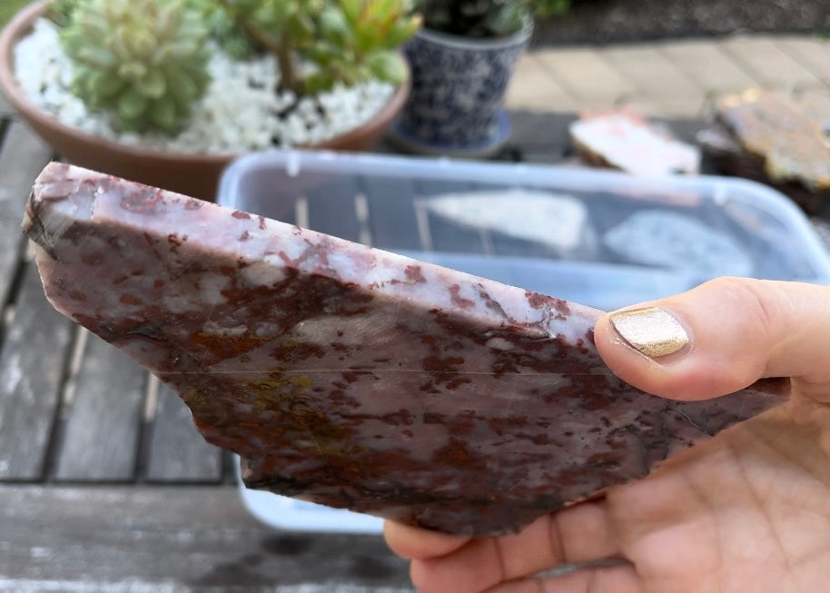 Pink St Johns Flower Agate Lapidary Rock Slab - Arizona Agates