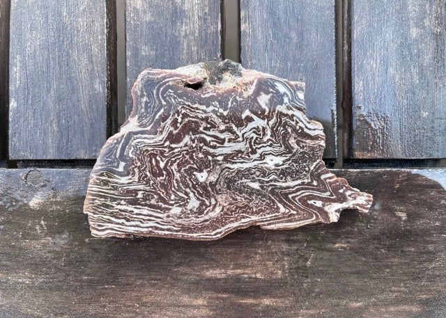 Utah Treebark Rhyolite Lapidary Rock Slab - Swirling Marbled Natural Rocks