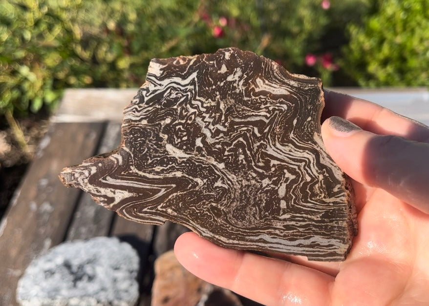 Utah Treebark Rhyolite Lapidary Rock Slab - Swirling Marbled Natural Rocks
