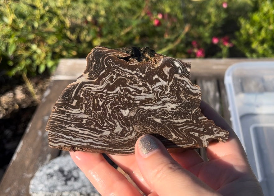 Utah Treebark Rhyolite Lapidary Rock Slab - Swirling Marbled Natural Rocks