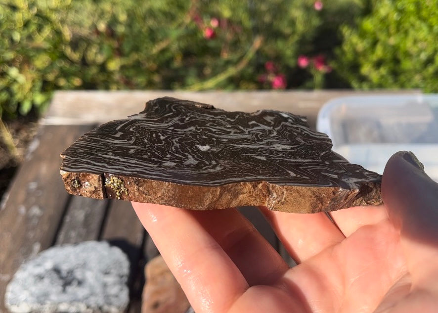 Utah Treebark Rhyolite Lapidary Rock Slab - Swirling Marbled Natural Rocks