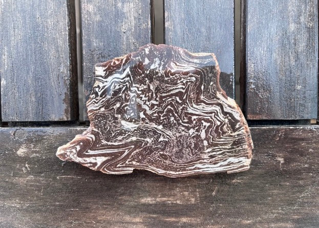 Utah Treebark Rhyolite Lapidary Rock Slab - Swirling Marbled Natural Rocks
