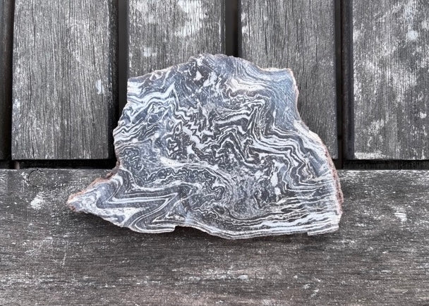 Utah Treebark Rhyolite Lapidary Rock Slab - Swirling Marbled Natural Rocks