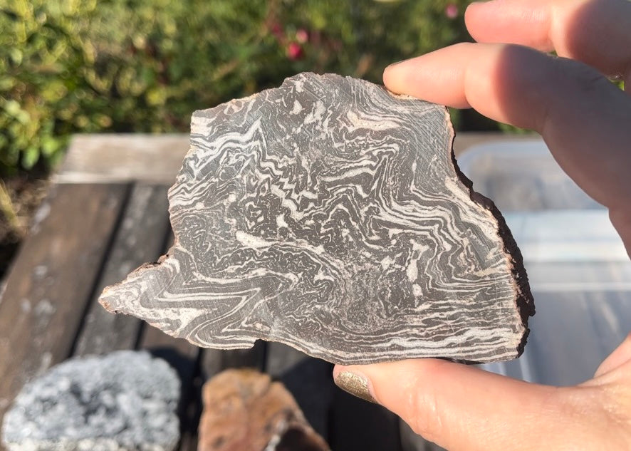 Utah Treebark Rhyolite Lapidary Rock Slab - Swirling Marbled Natural Rocks
