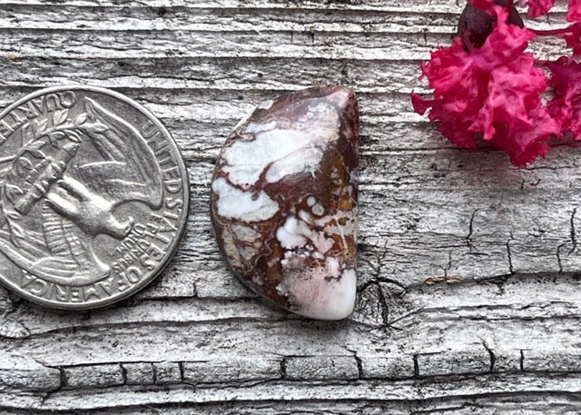 Wild Horse Magnesite Half Moon Cabochon
