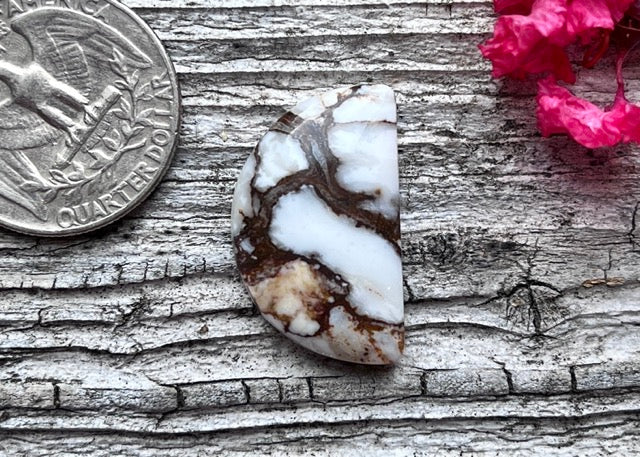 Wild Horse Magnesite Cabochon