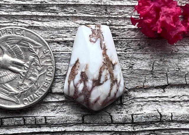 Wild Horse Magnesite Cabochon