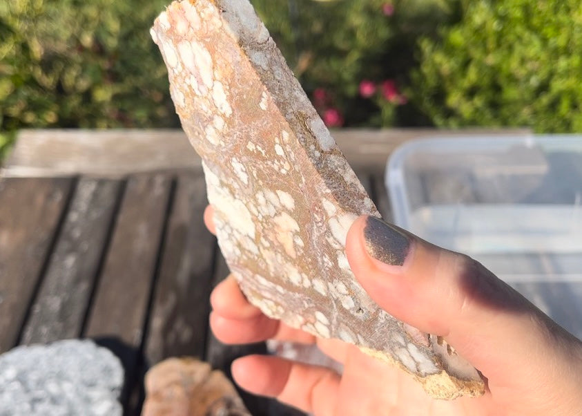 Arizona Wild Horse Magnesite Lapidary Rock Slab