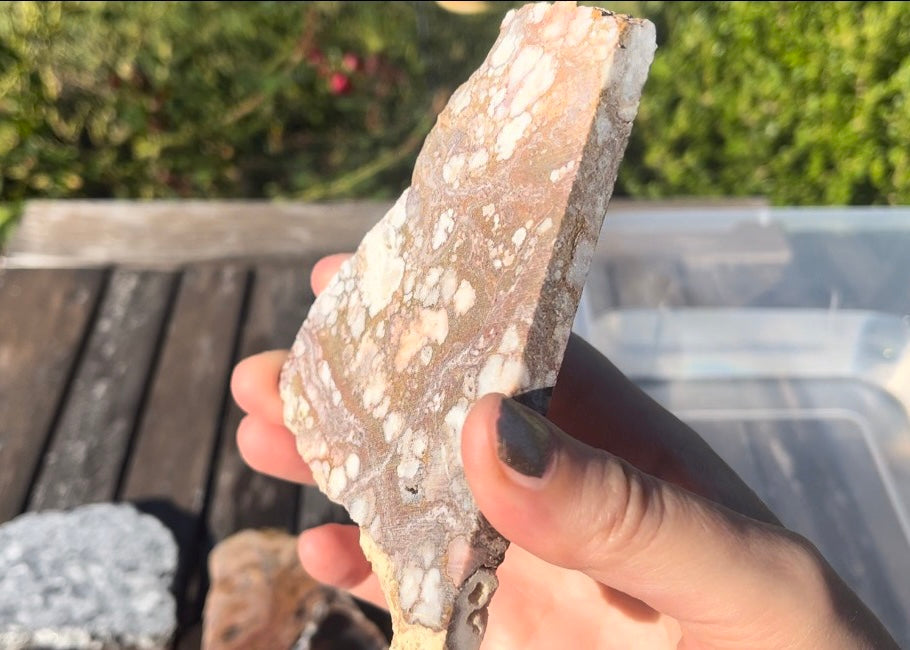 Arizona Wild Horse Magnesite Lapidary Rock Slab