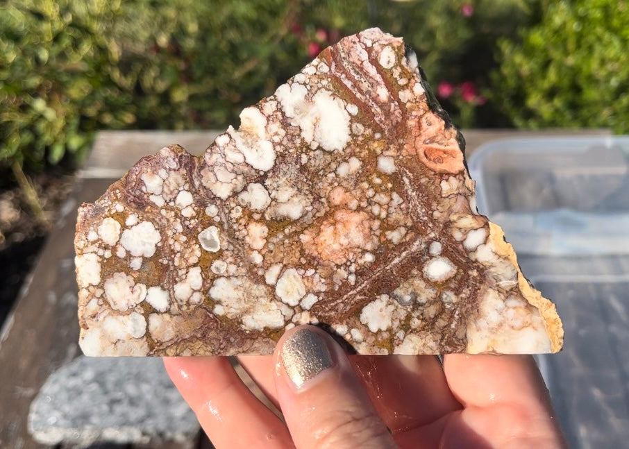 Arizona Wild Horse Magnesite Lapidary Rock Slab