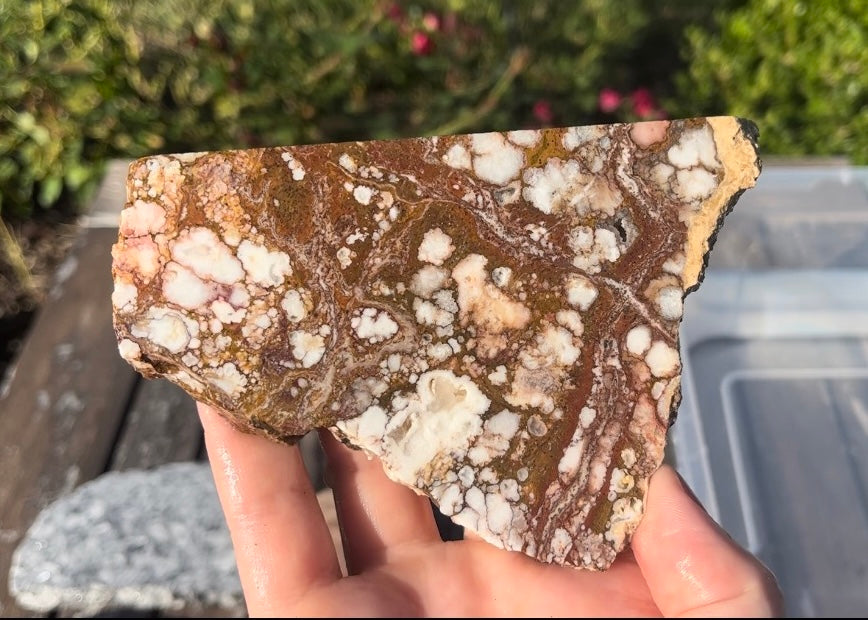 Arizona Wild Horse Magnesite Lapidary Rock Slab