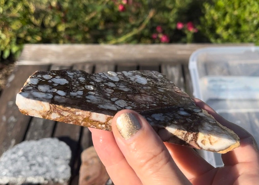 Arizona Wild Horse Magnesite Lapidary Rock Slab