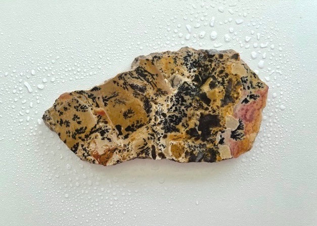 Wyoming Yellow Tree Jasper Dendritic Lapidary Rock Slab