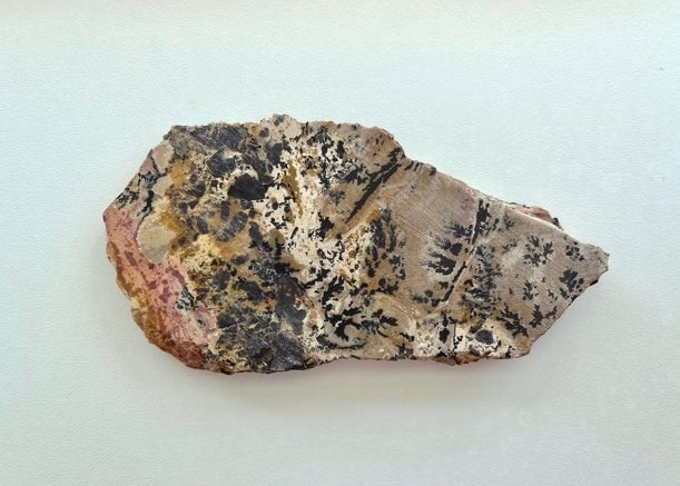 Wyoming Yellow Tree Jasper Dendritic Lapidary Rock Slab