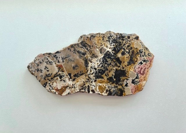 Wyoming Yellow Tree Jasper Dendritic Lapidary Rock Slab