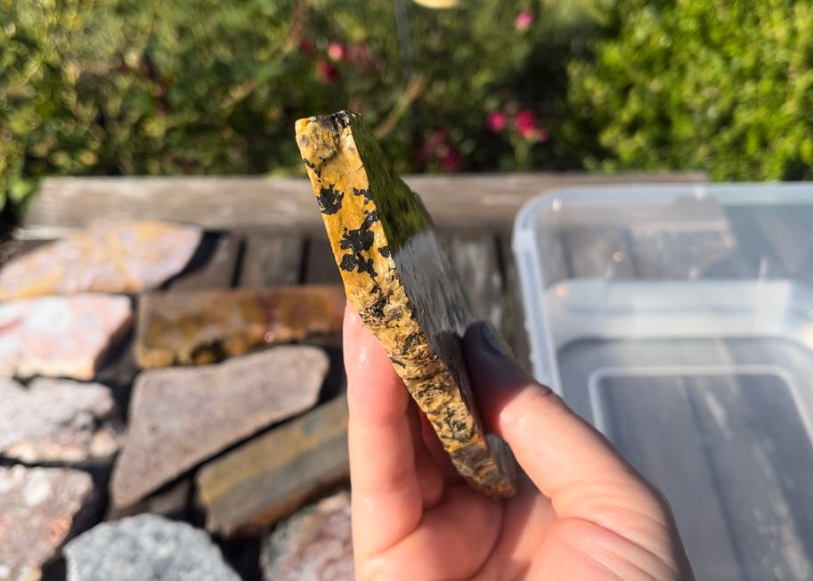 Yellow Tree Dendritic Jasper Lapidary Rock Slab
