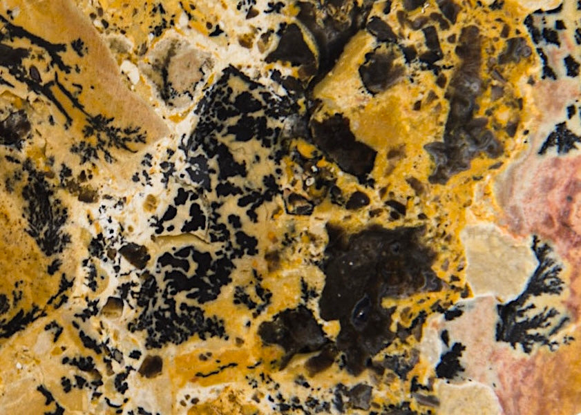 Yellow Tree Dendritic Jasper Lapidary Rock Slab