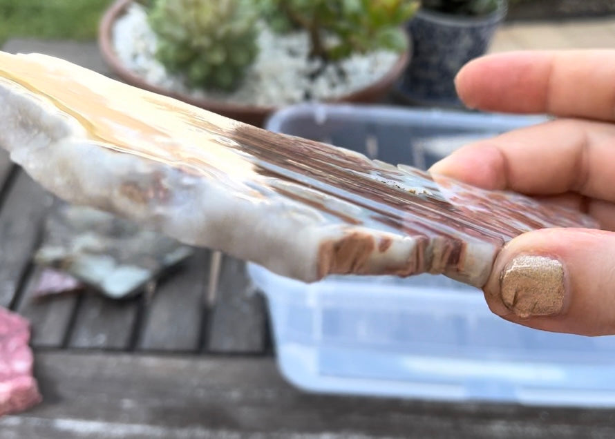 Wyoming Youngite Agate Lapidary Rock Slab