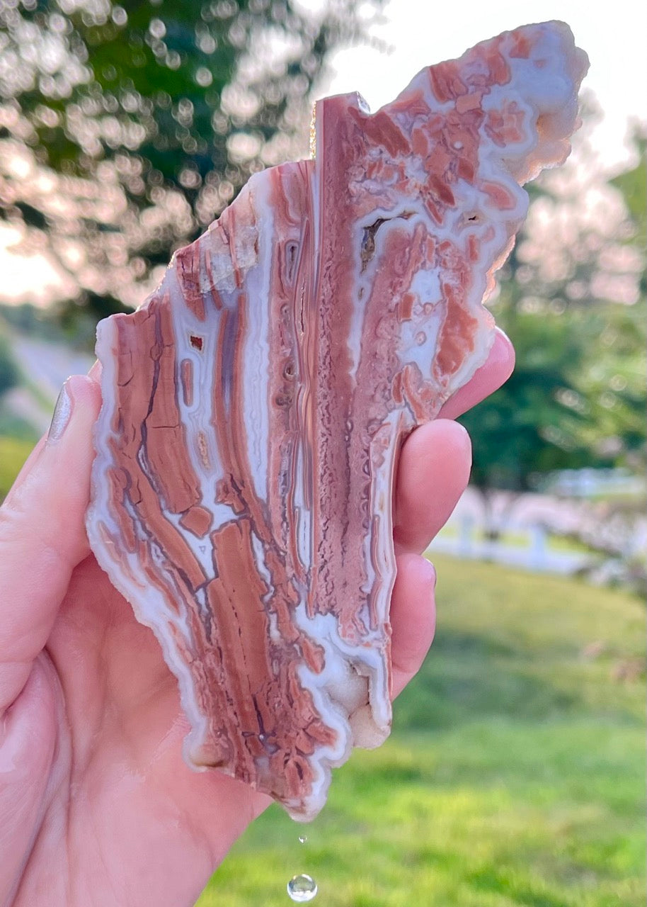 Wyoming Youngite Agate Lapidary Rock Slab
