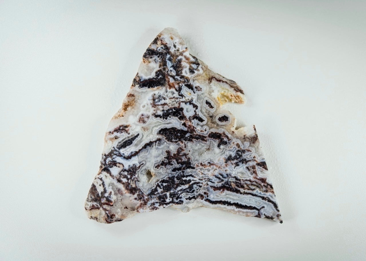 Zebra Lace Agate Lapidary Rock Slab