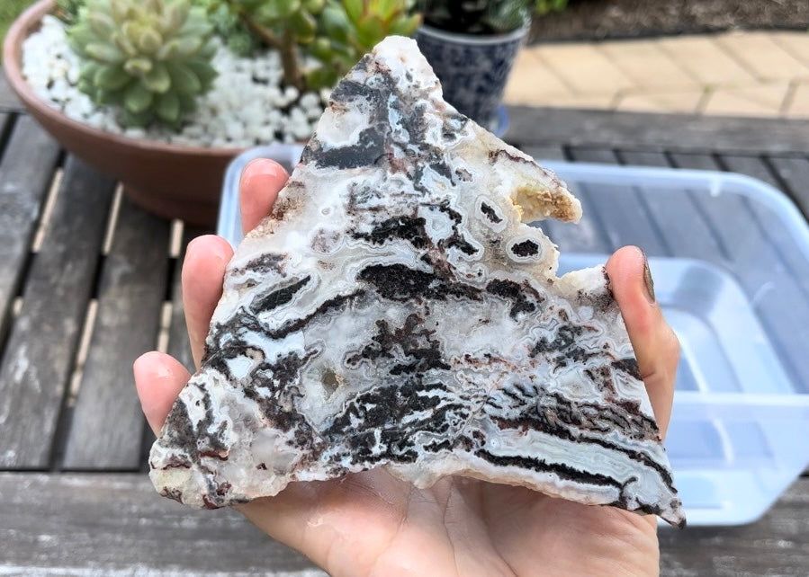 Zebra Lace Agate Lapidary Rock Slab