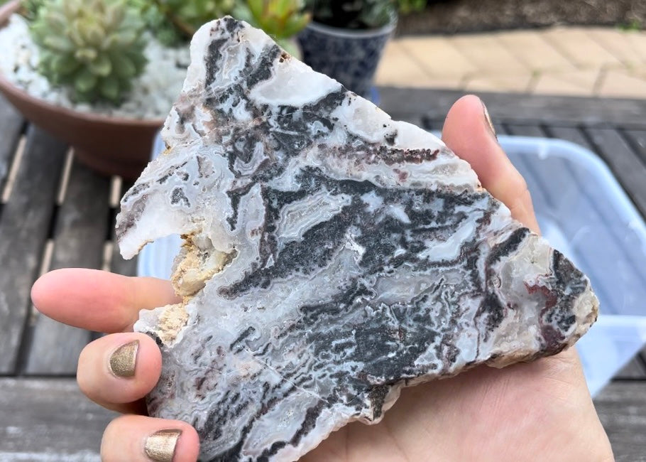 Zebra Lace Agate Lapidary Rock Slab