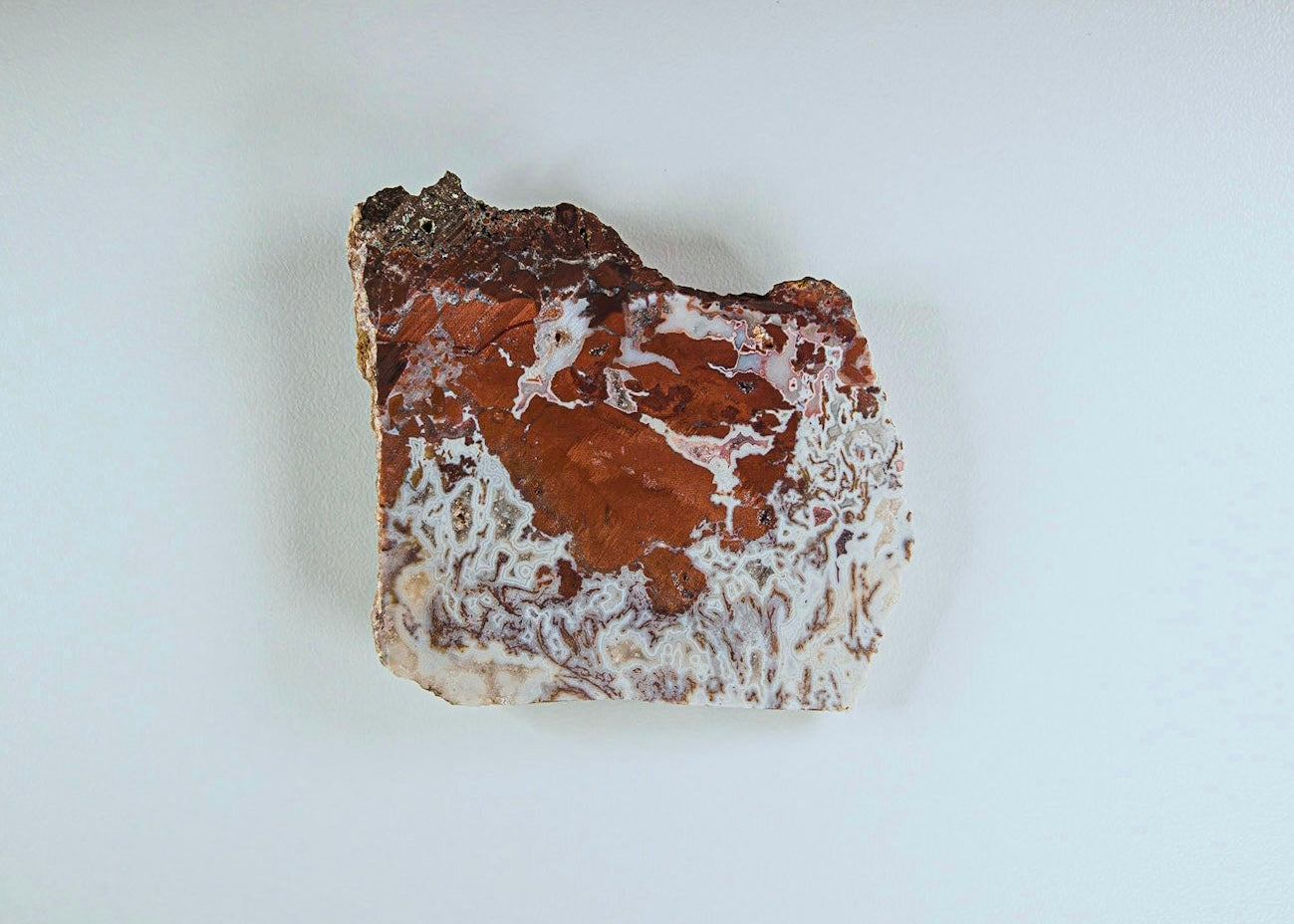 Morocco Apple Valley Lace Agate Lapidary Rock Slab - Lucky Calico Gem & Jewelry Co.