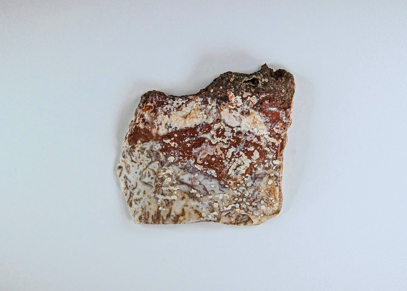 Morocco Apple Valley Lace Agate Lapidary Rock Slab - Lucky Calico Gem & Jewelry Co.