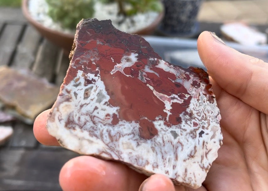 Morocco Apple Valley Lace Agate Lapidary Rock Slab - Lucky Calico Gem & Jewelry Co.