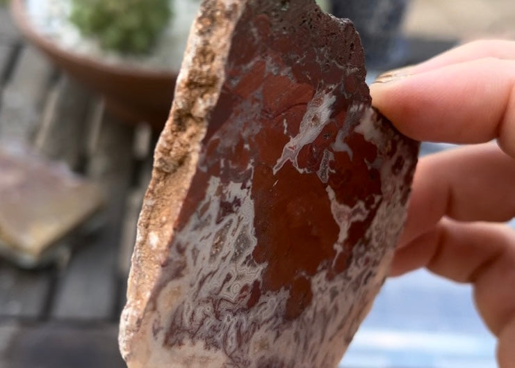 Morocco Apple Valley Lace Agate Lapidary Rock Slab - Lucky Calico Gem & Jewelry Co.