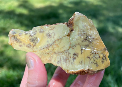 Australian Dendritic Opal Lapidary Rough Rock Specimen - Lucky Calico Gem & Jewelry Co.