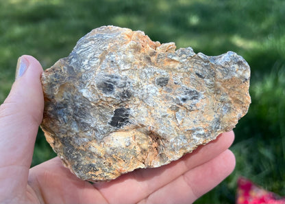 Australian Dendritic Opal Lapidary Rough Rock Specimen - Lucky Calico Gem & Jewelry Co.