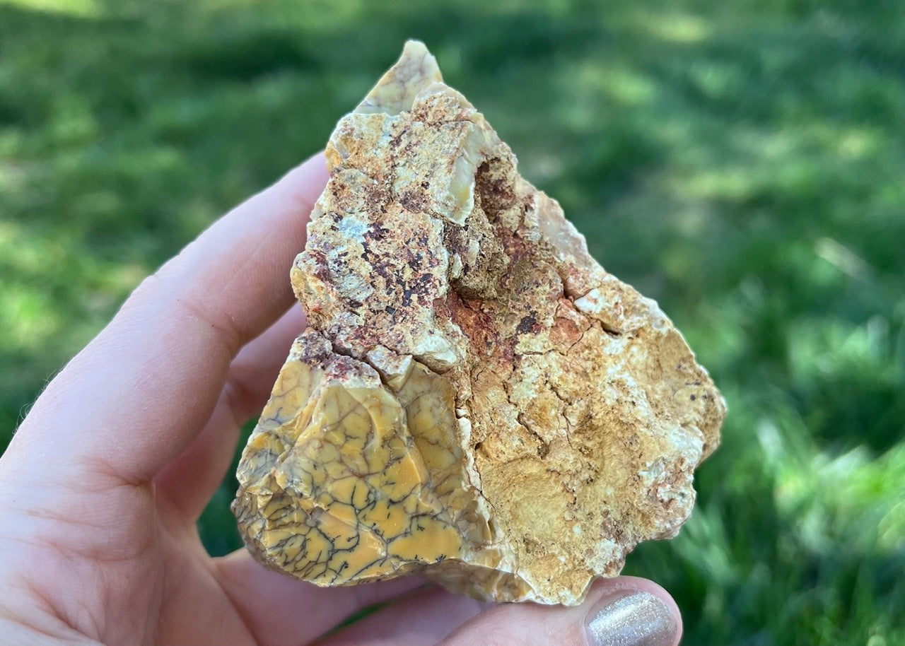 Australian Dendritic Opal Lapidary Rough Rock Specimen - Lucky Calico Gem & Jewelry Co.