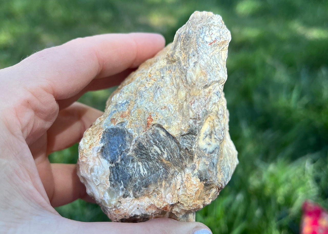 Australian Dendritic Opal Lapidary Rough Rock Specimen - Lucky Calico Gem & Jewelry Co.