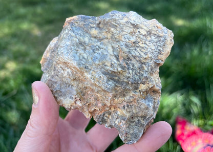 Australian Dendritic Opal Lapidary Rough Rock Specimen - Lucky Calico Gem & Jewelry Co.