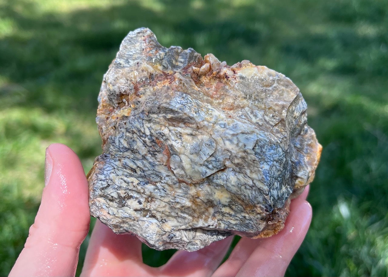 Australian Dendritic Opal Lapidary Rough Rock Specimen - Lucky Calico Gem & Jewelry Co.