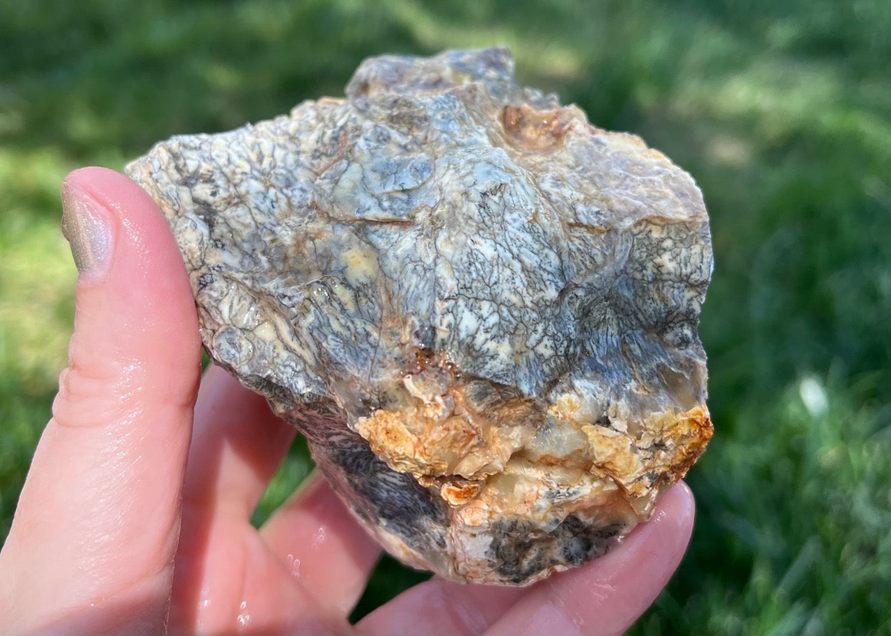 Australian Dendritic Opal Lapidary Rough Rock Specimen - Lucky Calico Gem & Jewelry Co.