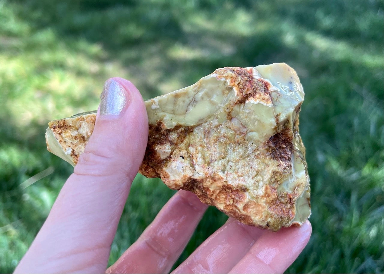 Australian Dendritic Opal Lapidary Rough Rock Specimen - Lucky Calico Gem & Jewelry Co.