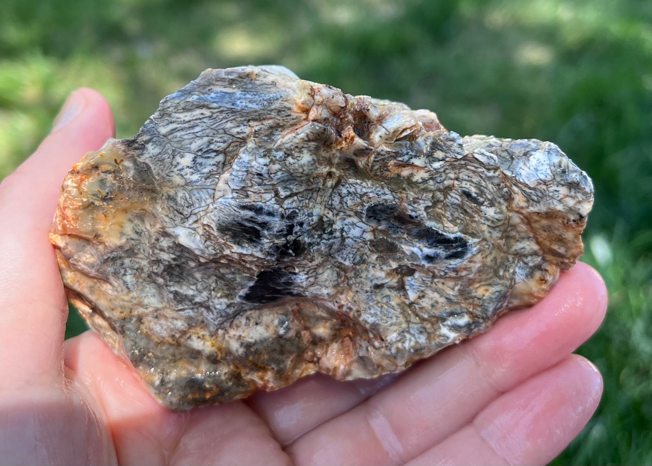 Australian Dendritic Opal Lapidary Rough Rock Specimen - Lucky Calico Gem & Jewelry Co.