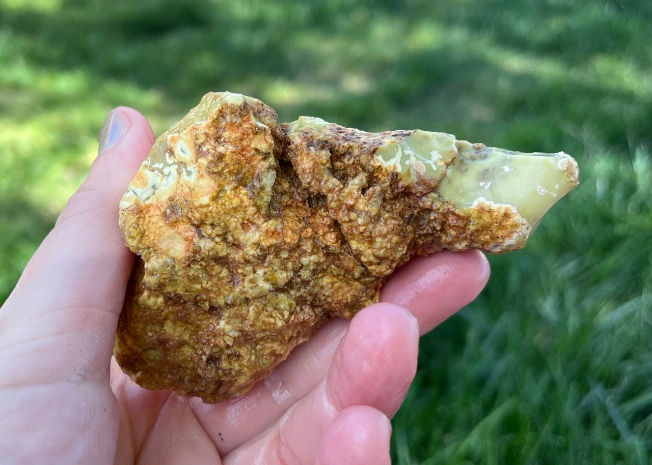 Australian Dendritic Opal Lapidary Rough Rock Specimen - Lucky Calico Gem & Jewelry Co.