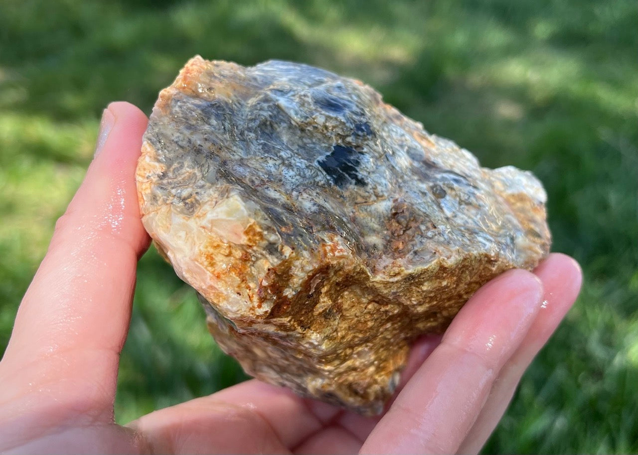 Australian Dendritic Opal Lapidary Rough Rock Specimen - Lucky Calico Gem & Jewelry Co.