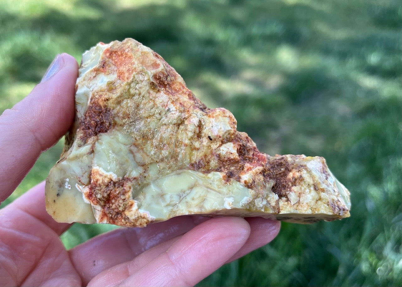 Australian Dendritic Opal Lapidary Rough Rock Specimen - Lucky Calico Gem & Jewelry Co.