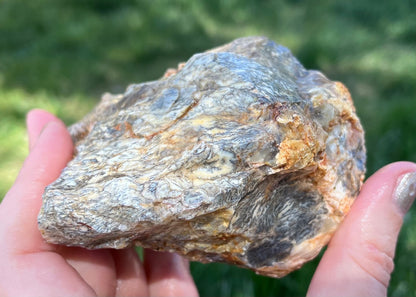 Australian Dendritic Opal Lapidary Rough Rock Specimen - Lucky Calico Gem & Jewelry Co.